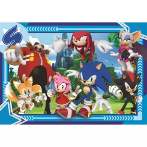 Puzzle Sonic 300 dílků