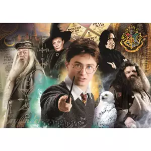 Puzzle Harry Potter: Učitelé 1000 dílků