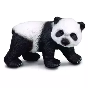 Panda velká - mládě