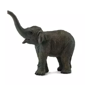 Slon asijský - slůně