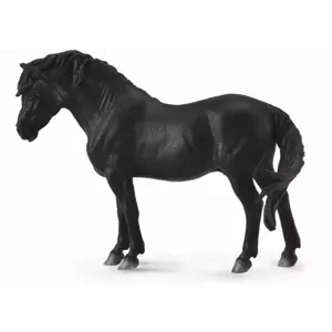 Dartmoorský pony - černý