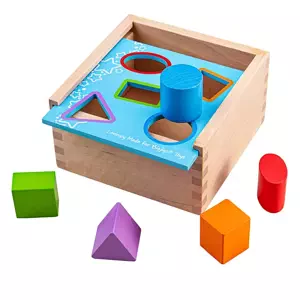 Bigjigs Toys Vkládací krabička s tvary