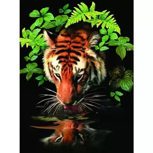Malování podle čísel Tygr u vody 22x30cm s akrylovými barvami a štětcem na kartě