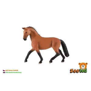 Kůň domácí hnědák