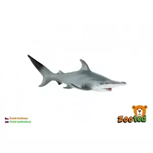 Žralok kladivoun velký