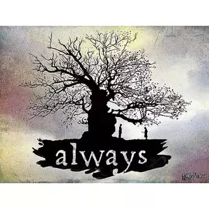Obraz na plátně Harry Potter - Always