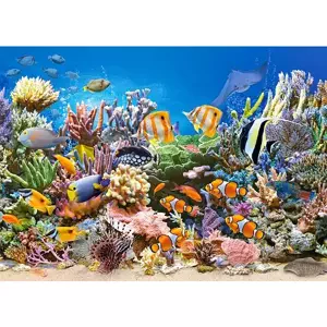 CASTORLAND Puzzle Barvy oceánu 260 dílků