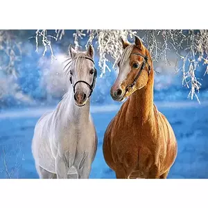 CASTORLAND Puzzle Koně v zimní krajině 260 dílků