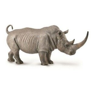 Collecta nosorožec